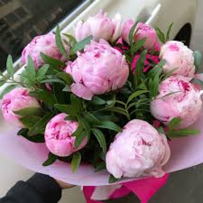 Пион древовидный в Талгаре