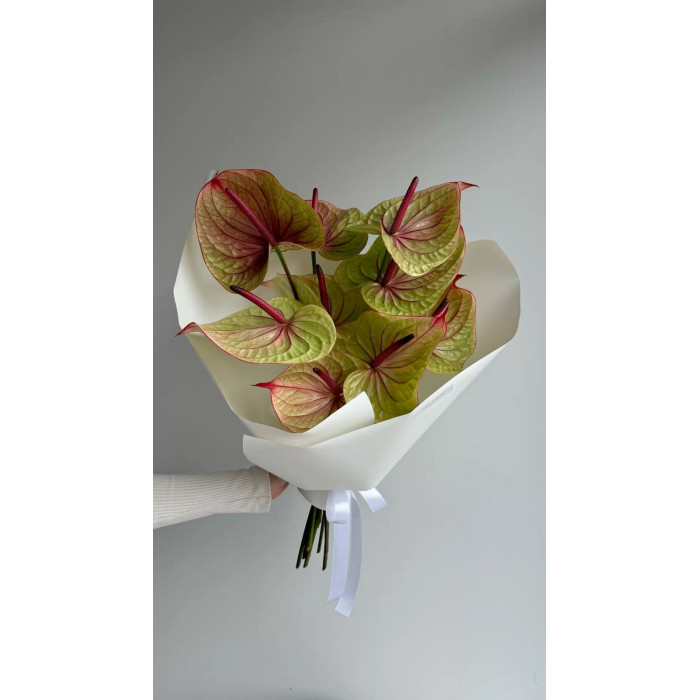 Антуриумы в Талгаре