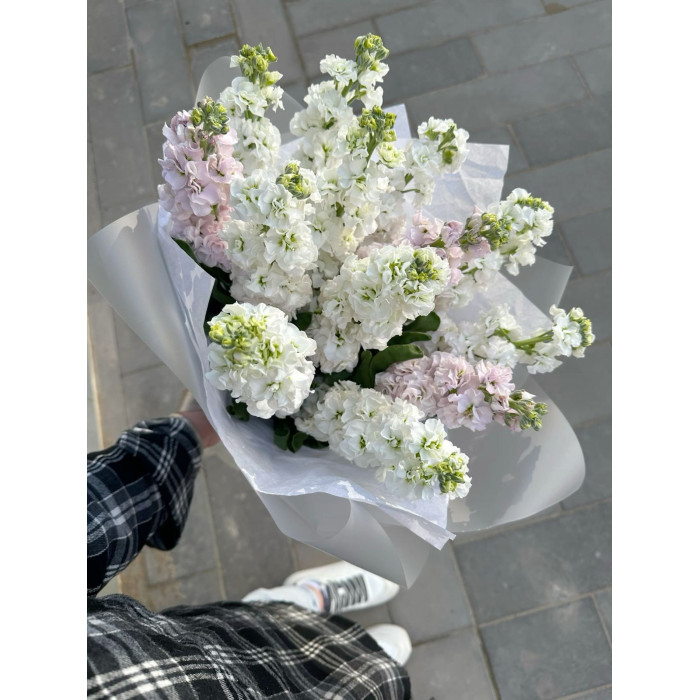 Маттиола в Талгаре