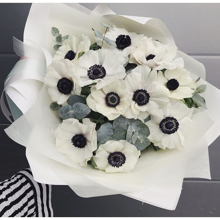 Анемоны в Талгаре