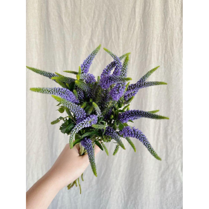 Вероника в Талгаре