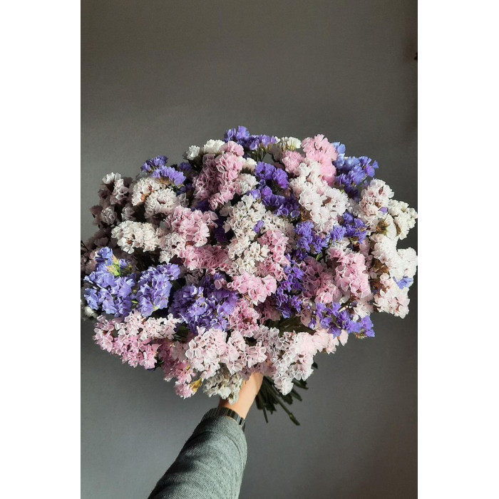 Статица (Лимониум) в Талгаре