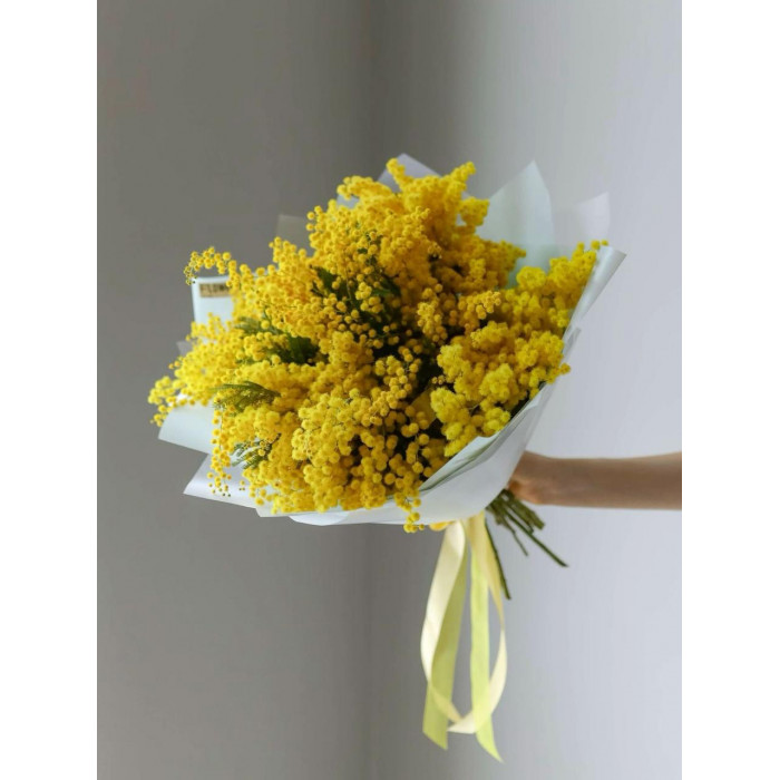 Мимоза в Талгаре