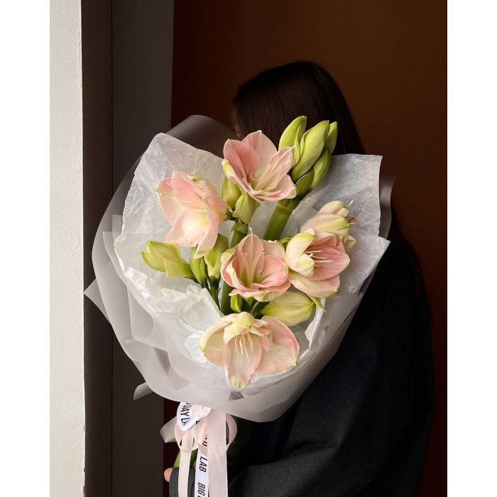 Амариллис в Талгаре