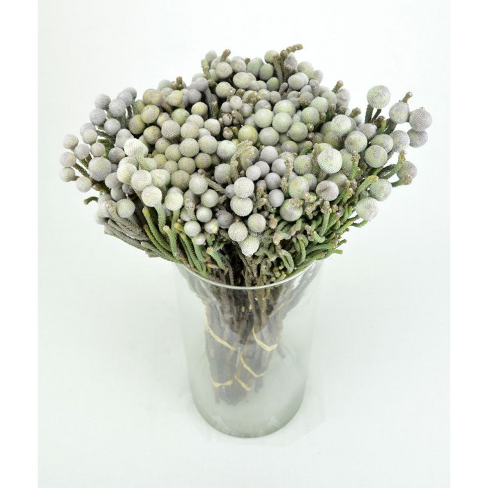 Бруния в Талгаре