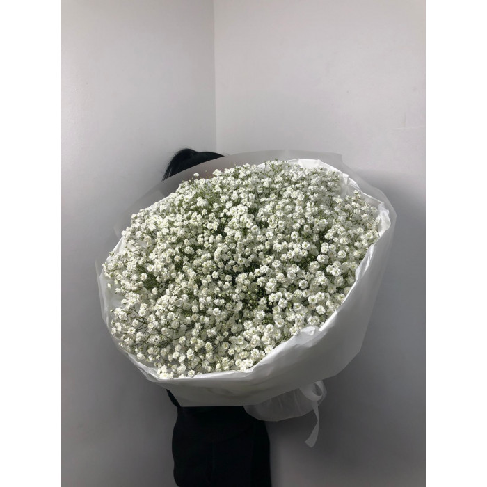 Гипсофила классическая в Талгаре