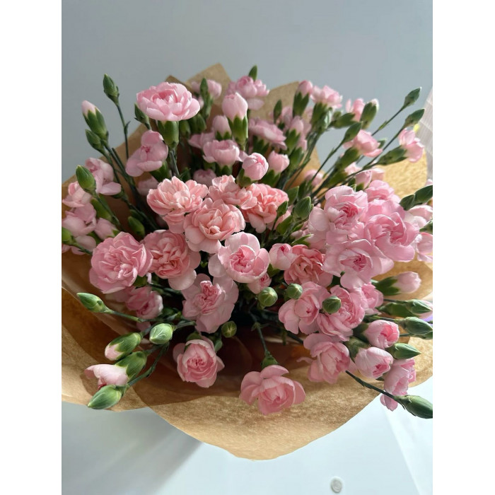 Кустовые гвоздики в Талгаре