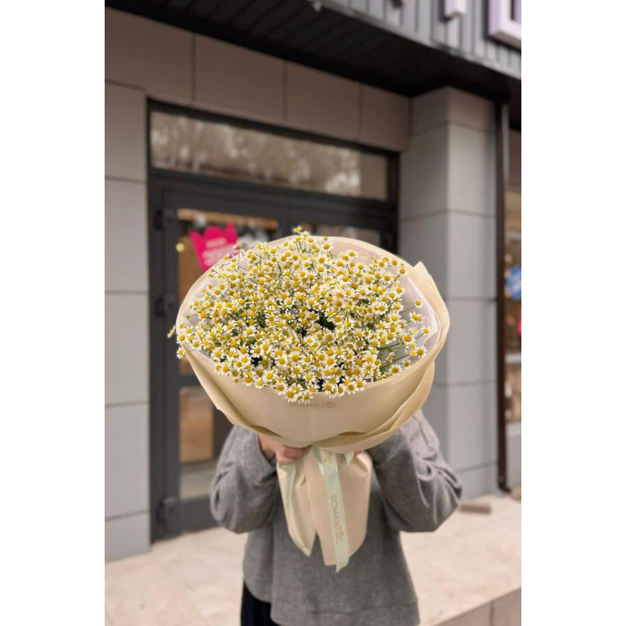 Танацетум в Талгаре